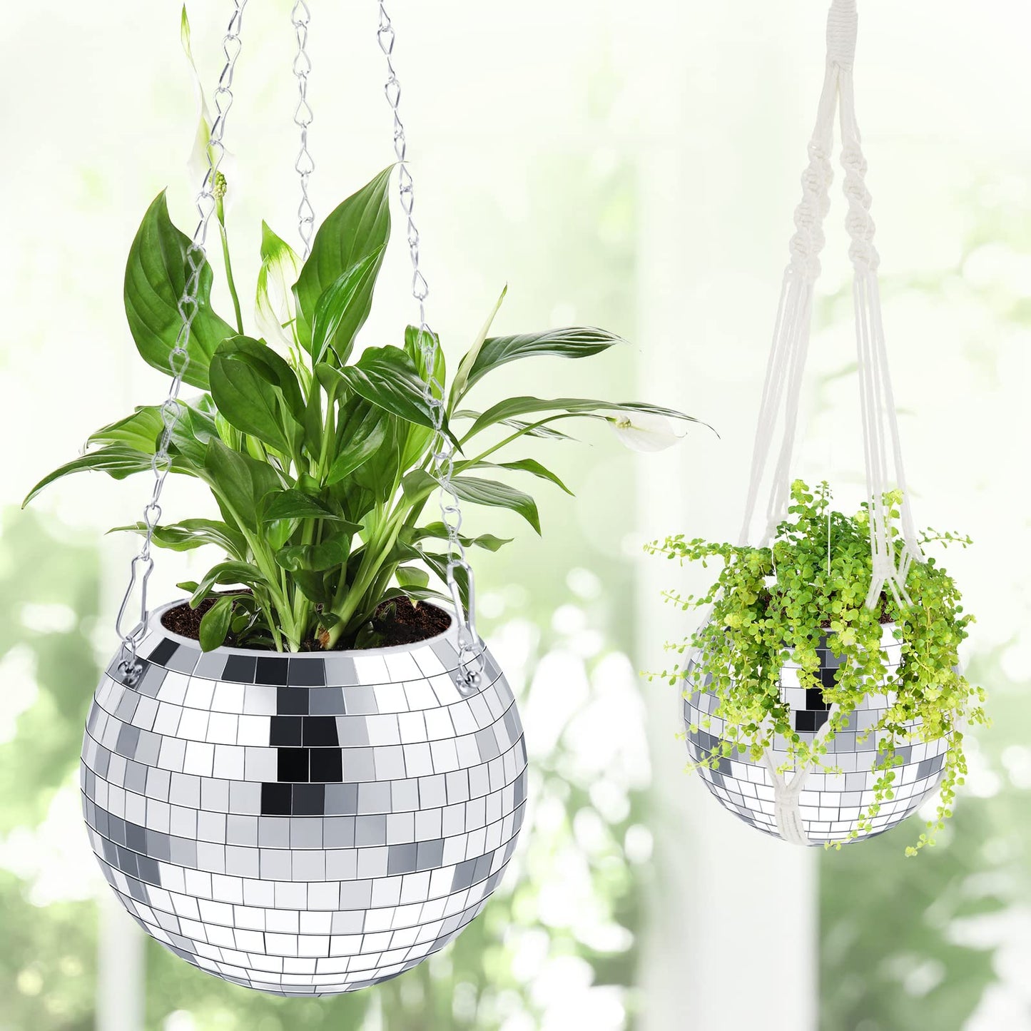 Mini Disco Planter