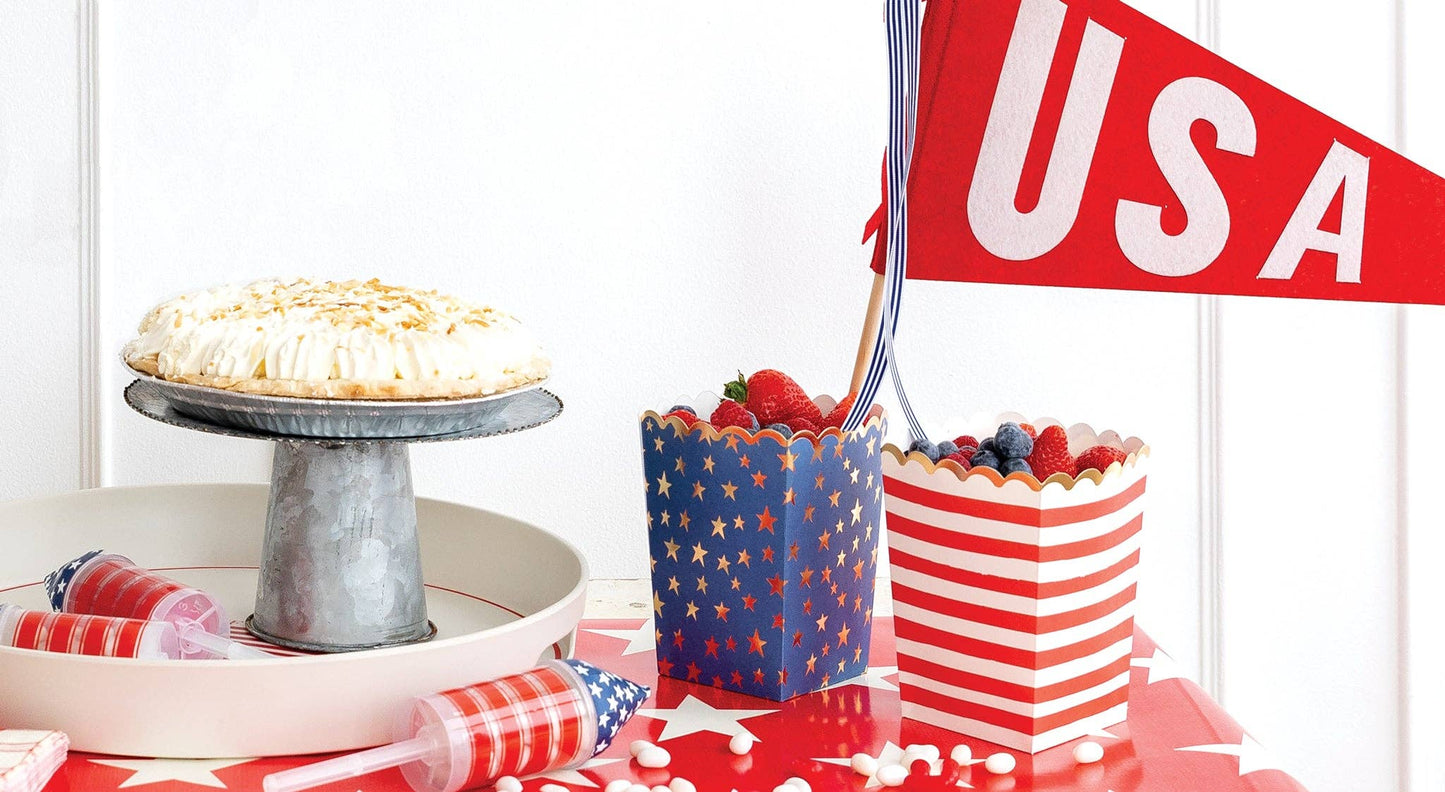 Stars and Stripes Treat Boxes