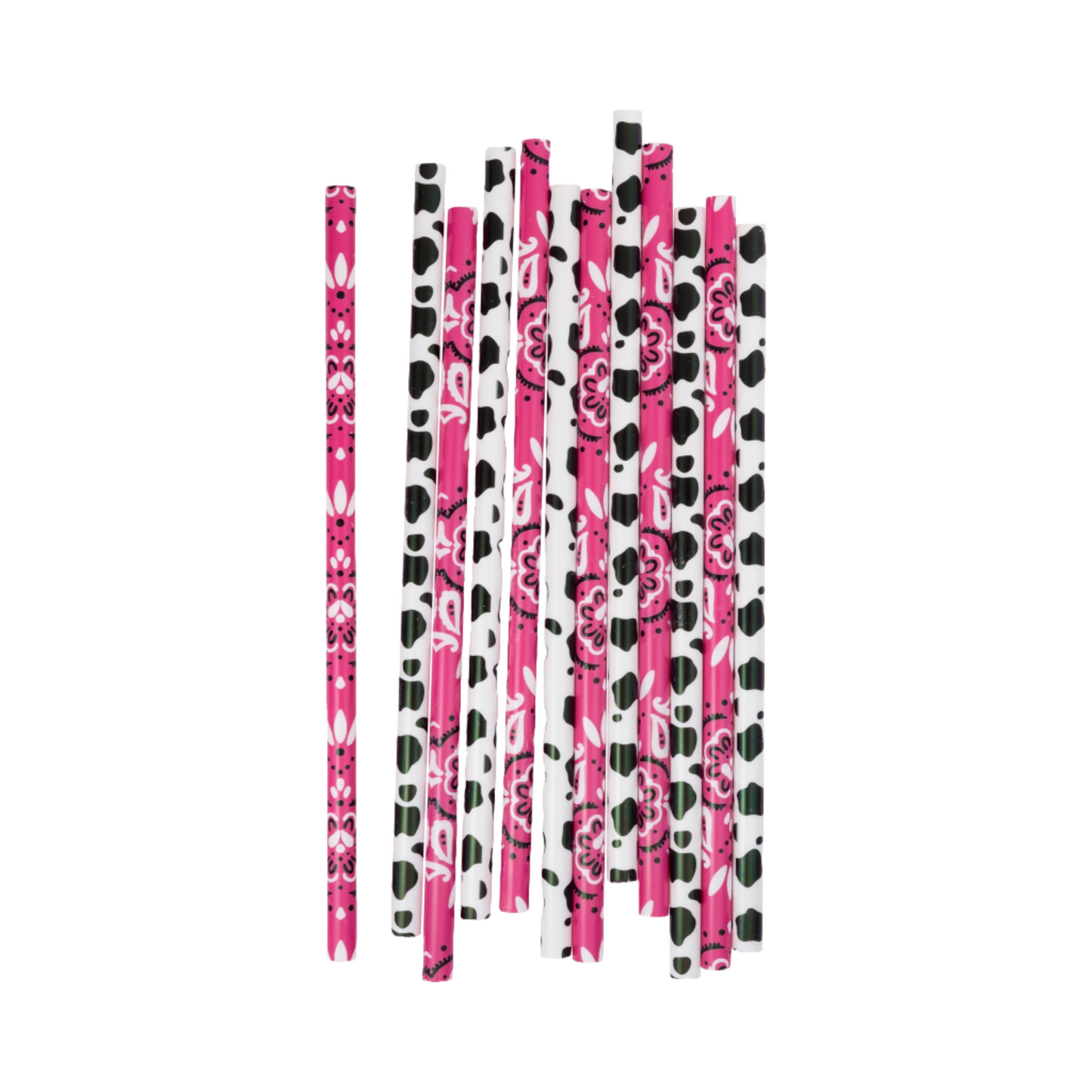 Cowgirl Reusable Straws