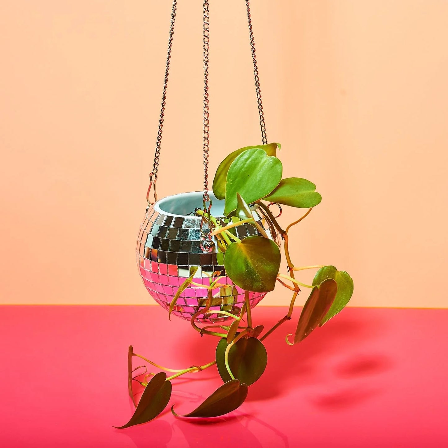 Mini Disco Planter