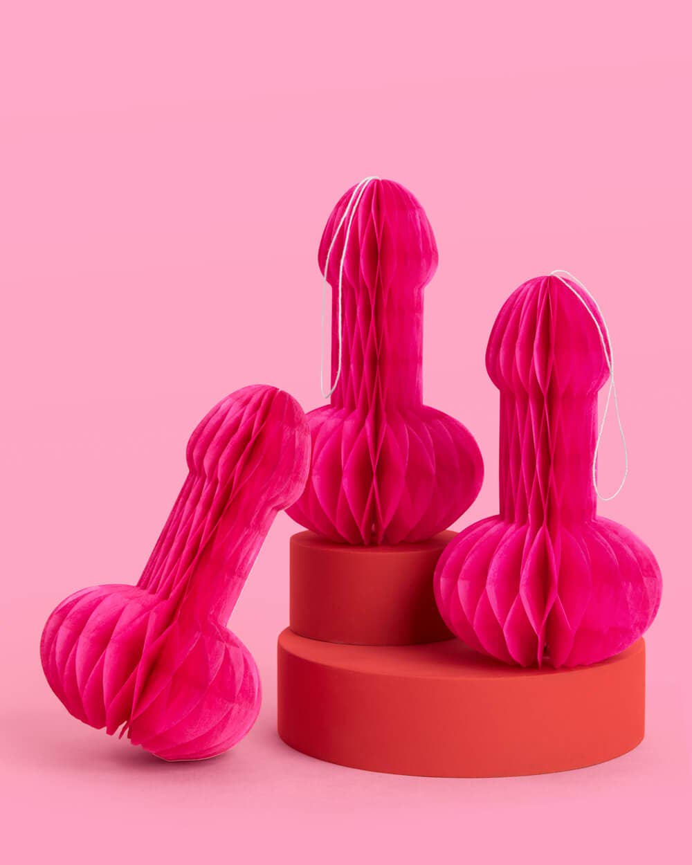 Penis Paper Accordions