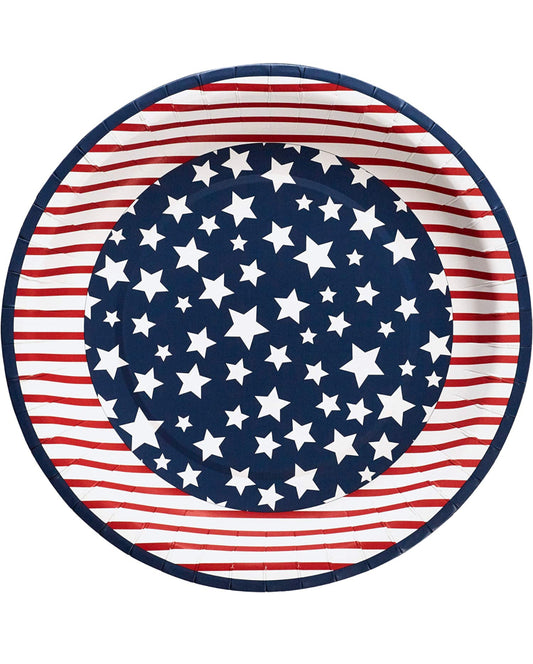 USA Plate- Large