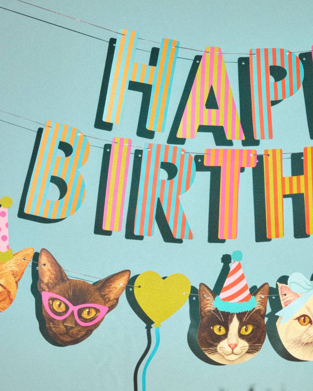 Happy Birthday Cat Party Banner
