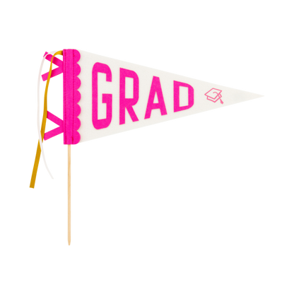 Pink Grad Felt Pennant Banner