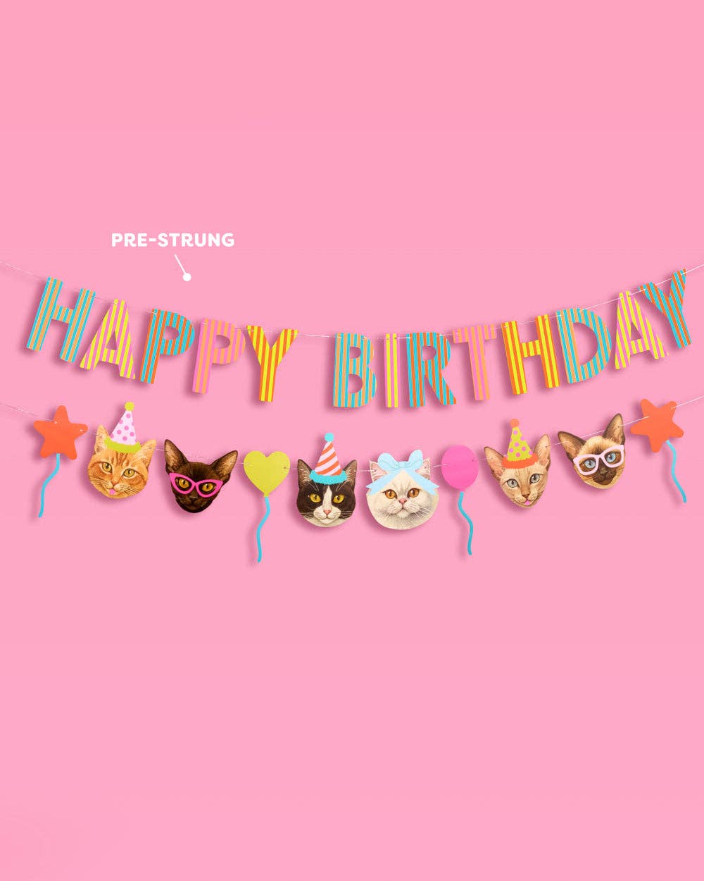 Happy Birthday Cat Party Banner
