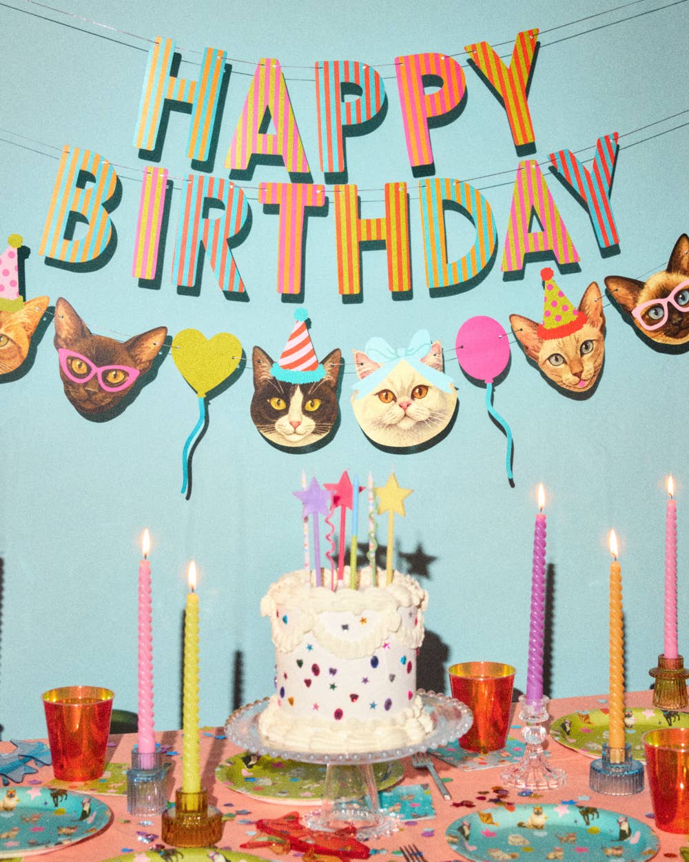 Happy Birthday Cat Party Banner