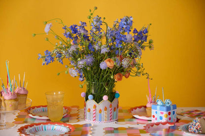 Birthday Wishes Reusable Birthday Crown