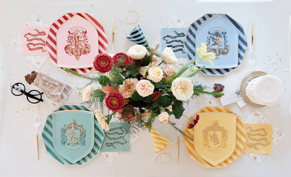 HARRY POTTER X BONJOUR FÊTE HOUSE PRIDE LARGE PLATES