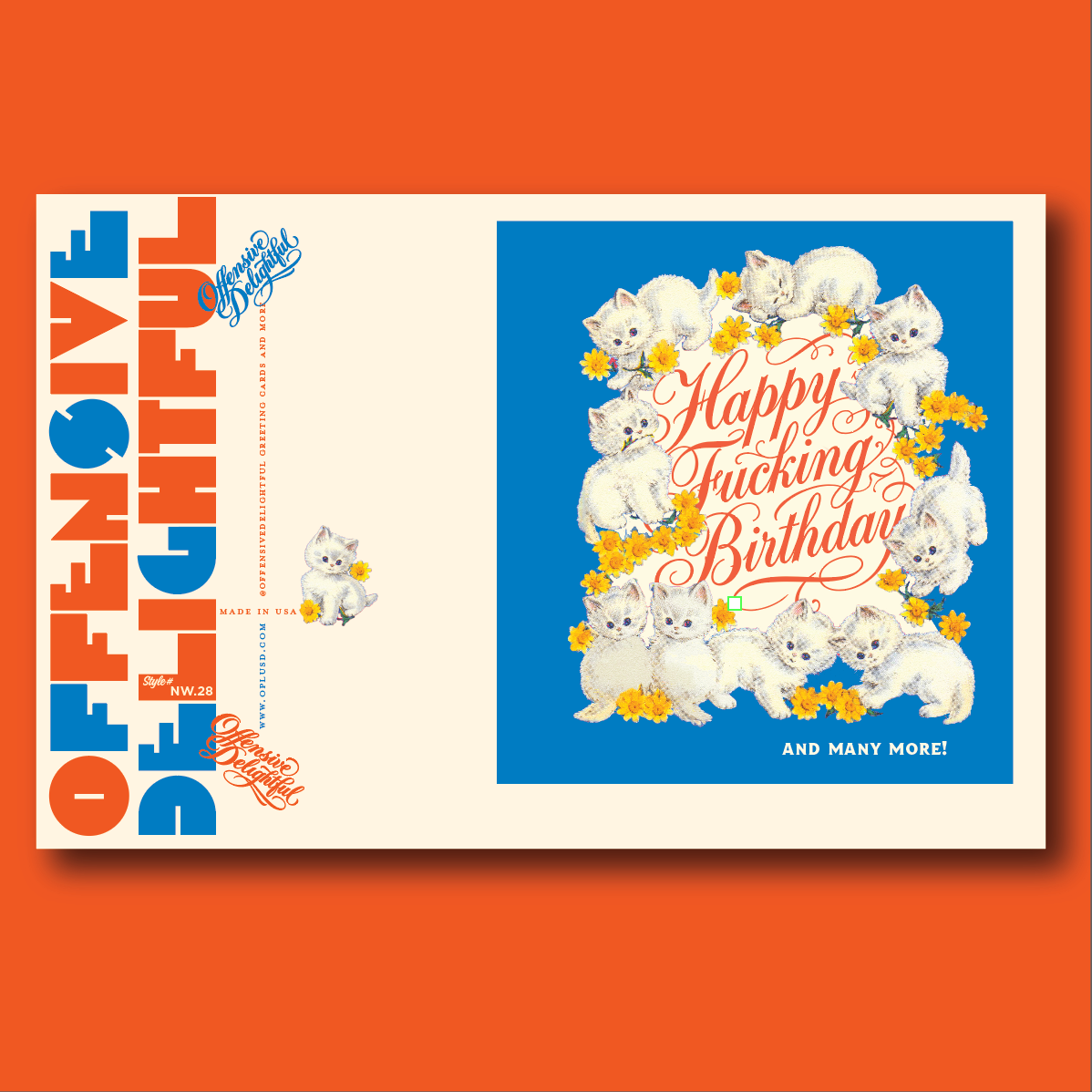 Kittens Happy Fucking Birthday Card