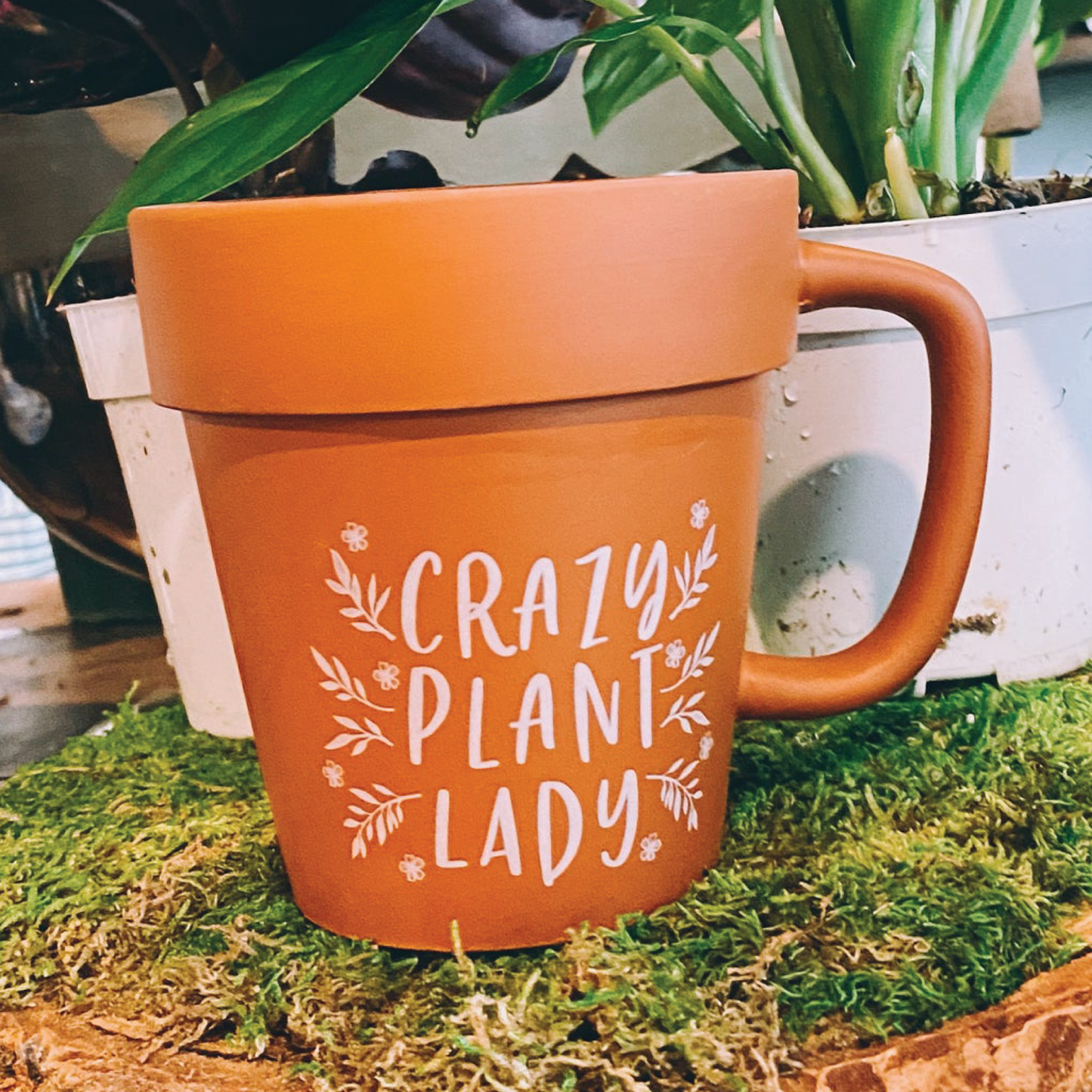 Crazy Plant Lady Terracotta Mug