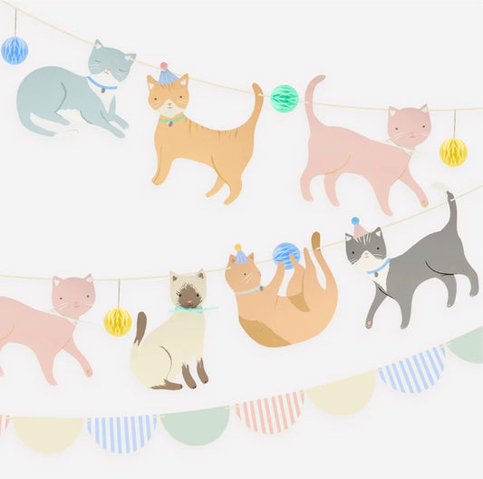 Cute Kittens Banner